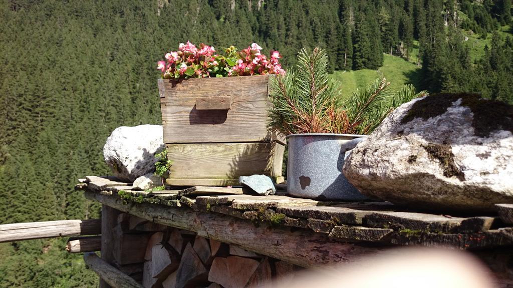 Hotel Eckartauerhof Майерхофен Екстериор снимка