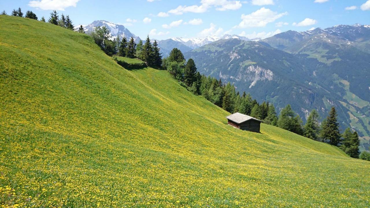 Hotel Eckartauerhof Майерхофен Екстериор снимка